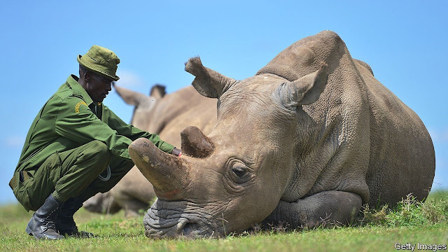 Poaching in Namibia - The Updated World